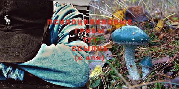 МДМА Няндома