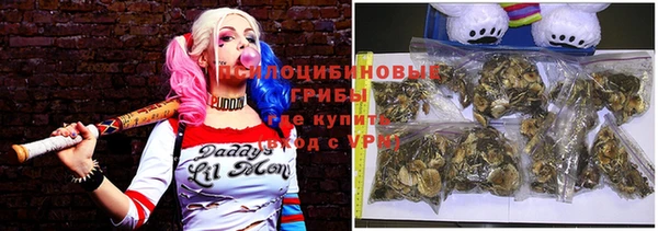 эйфоретик Новокубанск