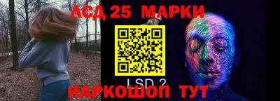 гидропоника Заволжье