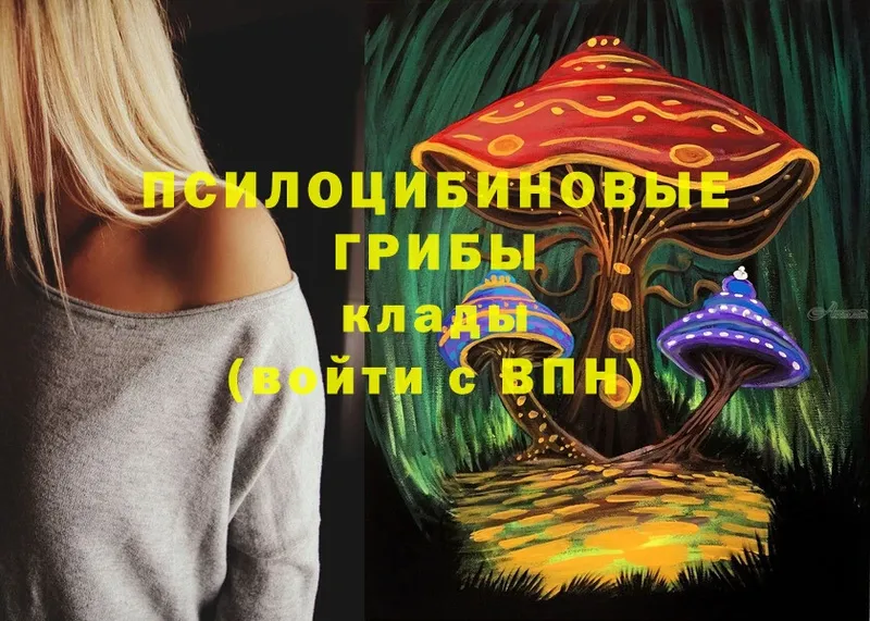 mega онион  Соликамск  Галлюциногенные грибы Psilocybe 