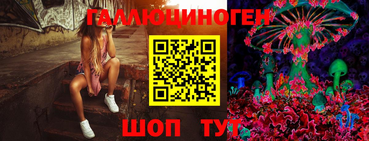 Галлюциногенные грибы Cubensis  Псилоцибиновые грибы прущие грибы  Соликамск  Вход с VPN 
